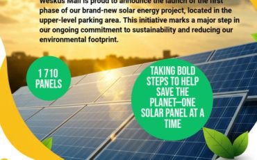 Solar Energy Flyer Template - Made with PosterMyWall (7)